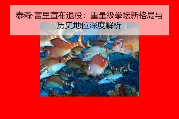 泰森·富里宣布退役：重量级拳坛新格局与历史地位深度解析