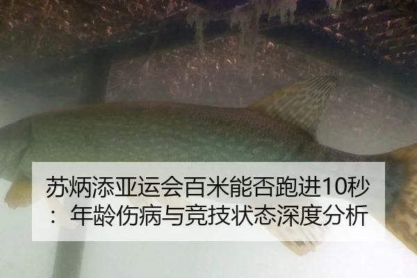 苏炳添亚运会百米能否跑进10秒：年龄伤病与竞技状态深度分析