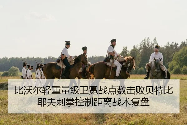 bi-wo-er-qing-zhong-liang-ji-wei-mian-zhan-dian-shu-ji-bai-bei-te-bi-ye-fu-ci-quan-kong-zhi-ju-li-zhan-shu-fu-pan-2-895.jpg