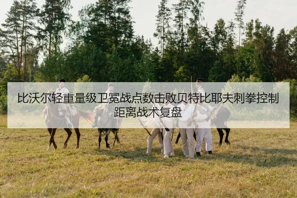 bi-wo-er-qing-zhong-liang-ji-wei-mian-zhan-dian-shu-ji-bai-bei-te-bi-ye-fu-ci-quan-kong-zhi-ju-li-zhan-shu-fu-pan-3-715.jpg